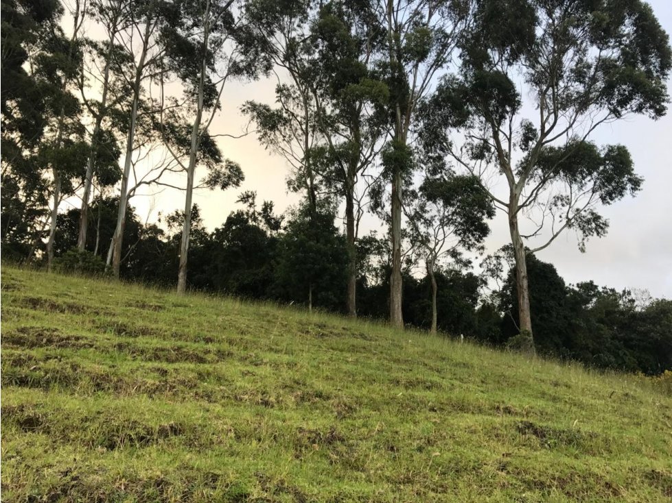 VENTA DE LOTE EN EL ALTO DE LAS PALMAS