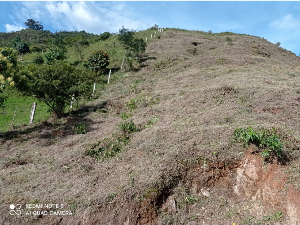 LOTE EN CALDAS - VEREDA LA MIEL