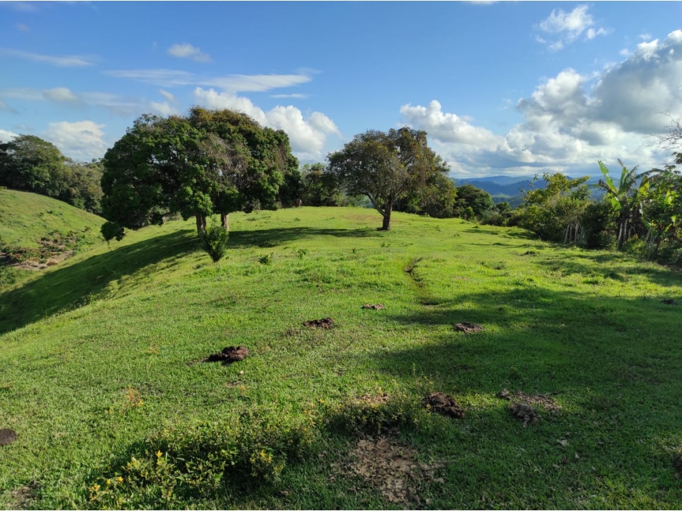 Venta finca vereda Santa Cruz Maceo Antioquia