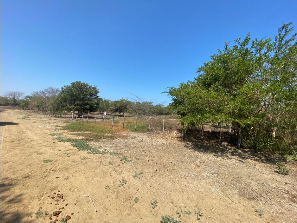 LOTES EN MANZANILLO DEL MAR - ZONA NORTE