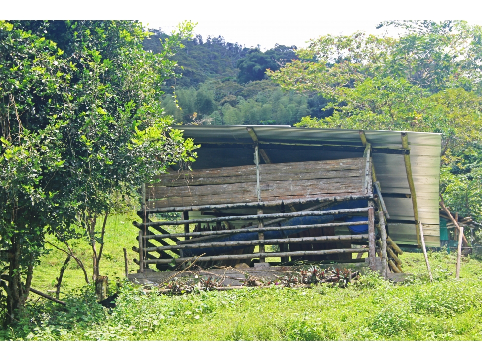 FINCA EN VENTA, EL QUEREMAL, DAGUA, VALLE