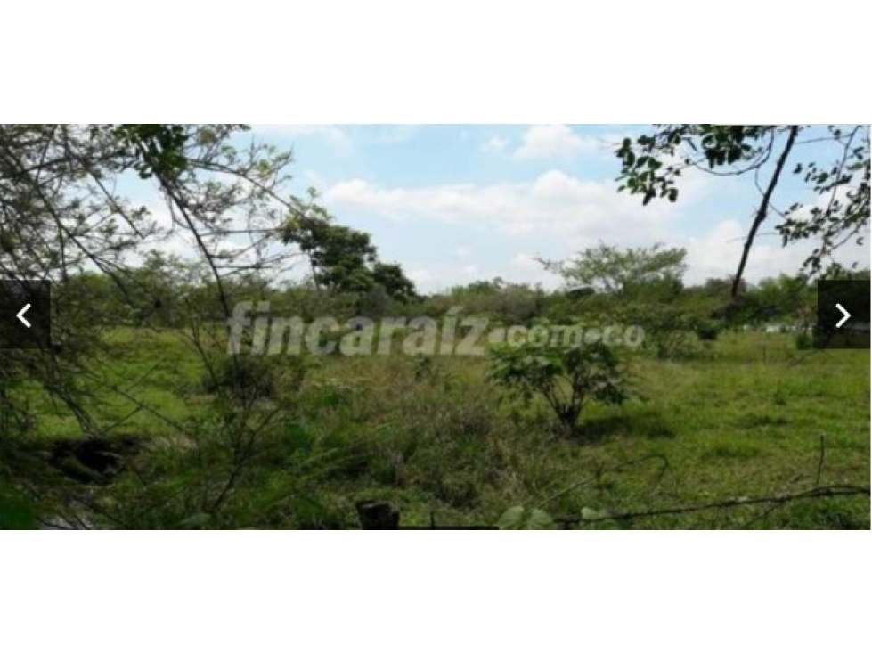 SE VENDE LOTE EN PANCE -  VALLE DEL CAUCA