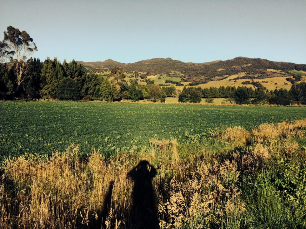 Finca en venta Ubicado en Zipaquira