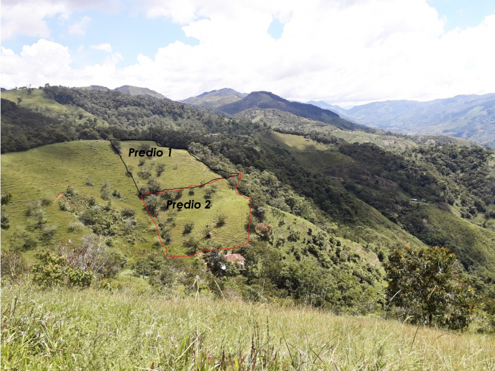 VENTA LOTE DE 3.347 MT2 EN SAN ROQUE ANTIOQUIA