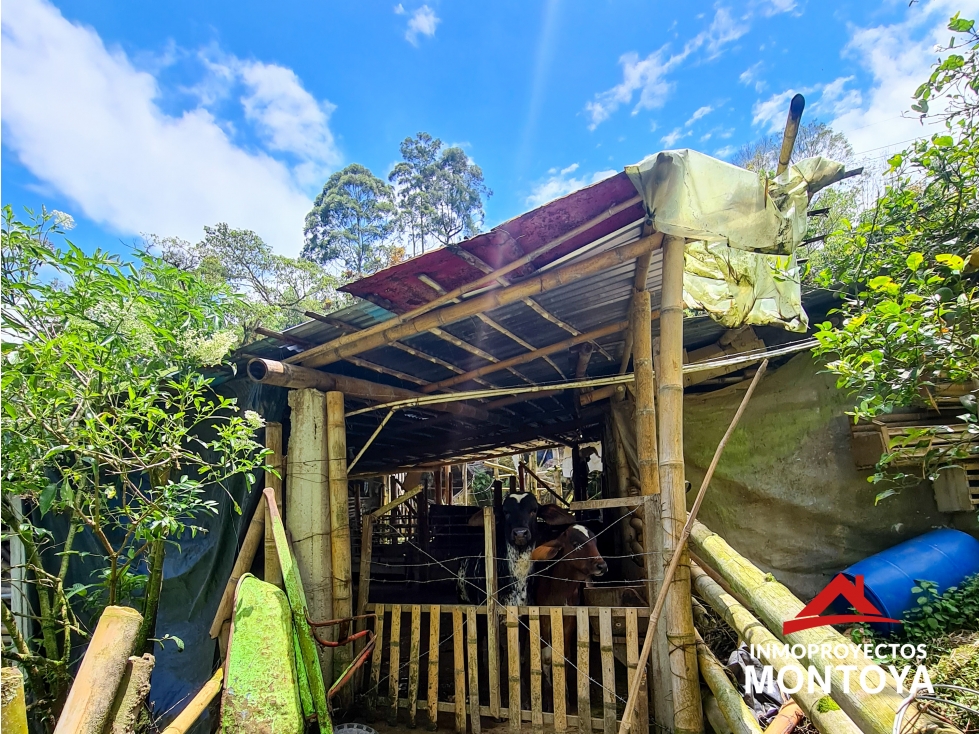 Finca multipropósito, sector La Bananera (vía a La Florida), Pereira