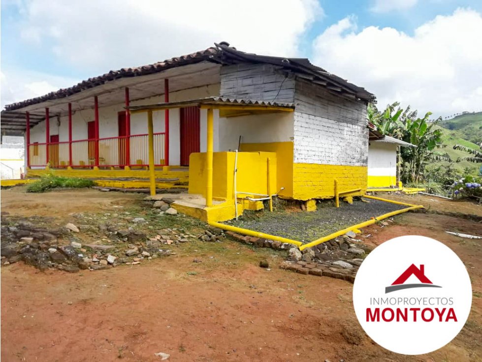 SE VENDE FINCA CAFETERA SECTOR ALTAGRACIA