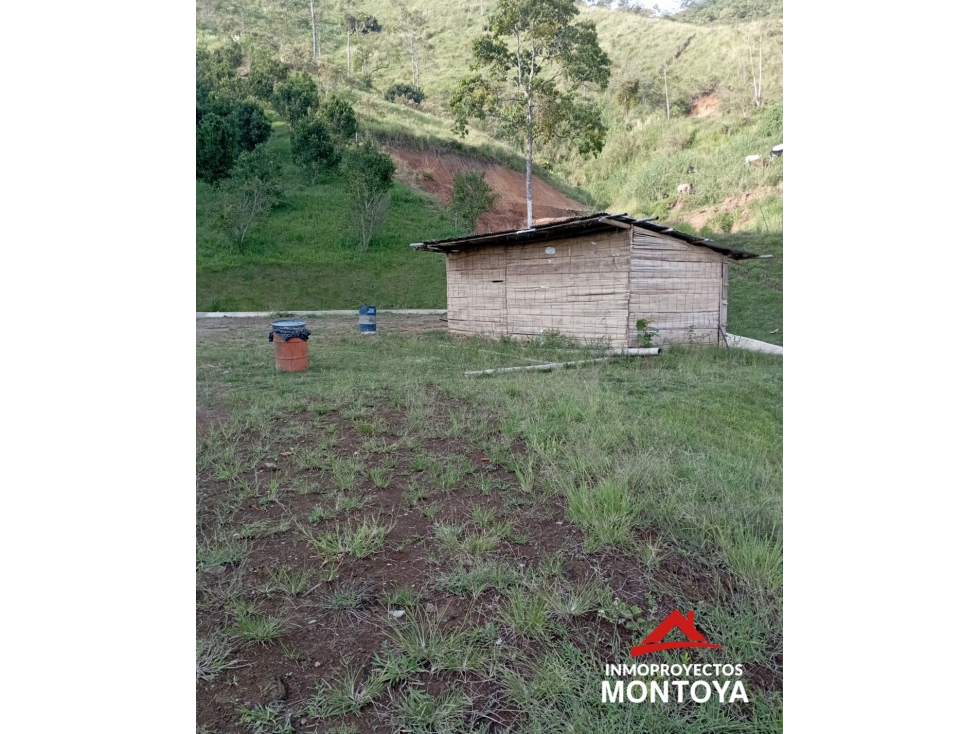 Lote campestre en parcelación a 4 min del Crucero de Combia, Pereira