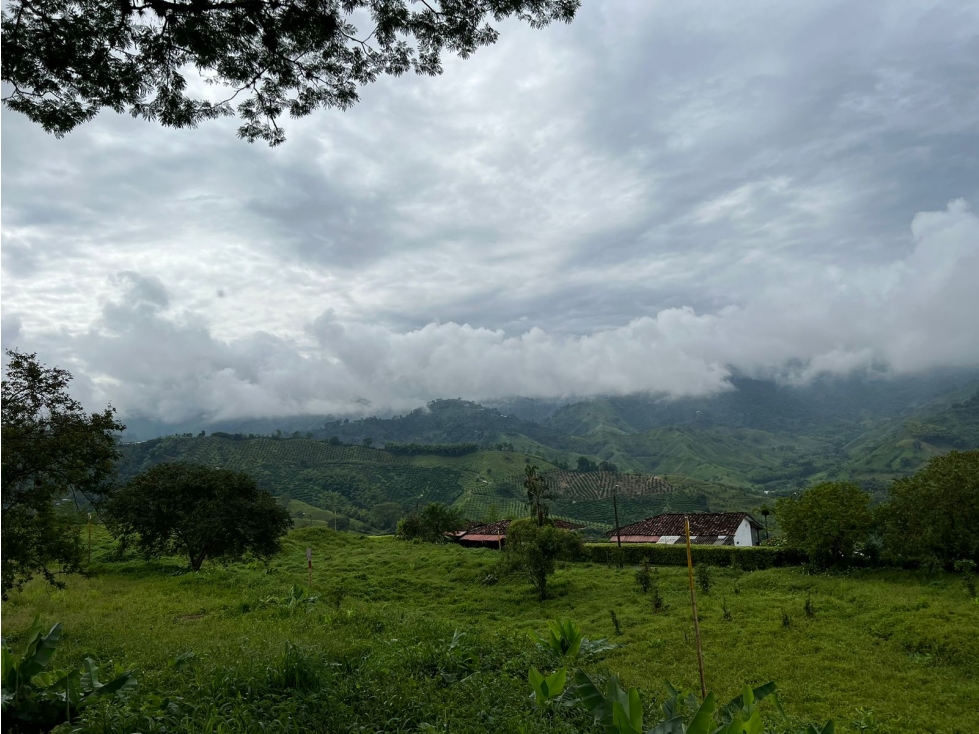 Vendo lote en conjunto, La Trinidad, Manizales