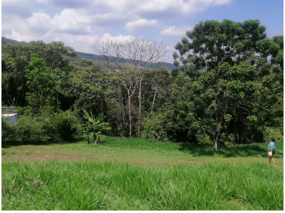 LOTE VENTA  SENDEROS VERDE HORIZONTE JAMUNDI VALLE