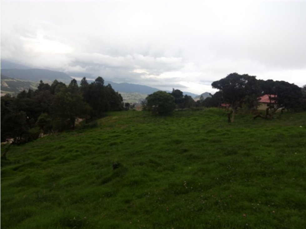 |80| Hermoso lote de 10.500 M², Vereda el Volcán