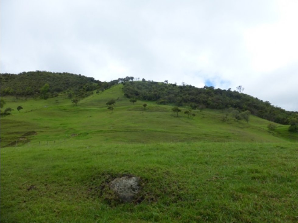 Lindo lote finca de 9 Fanegadas, Vda San José