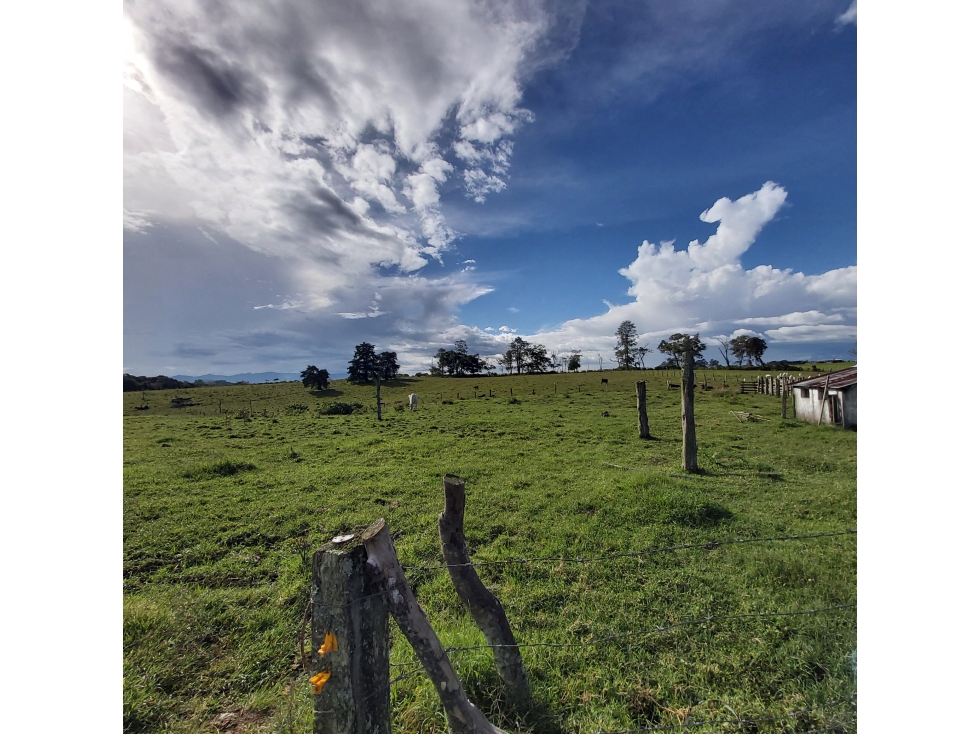 VENTA DE LOTES UNIDAD ABIERTA VARIANTE SUR, POPAYÁN