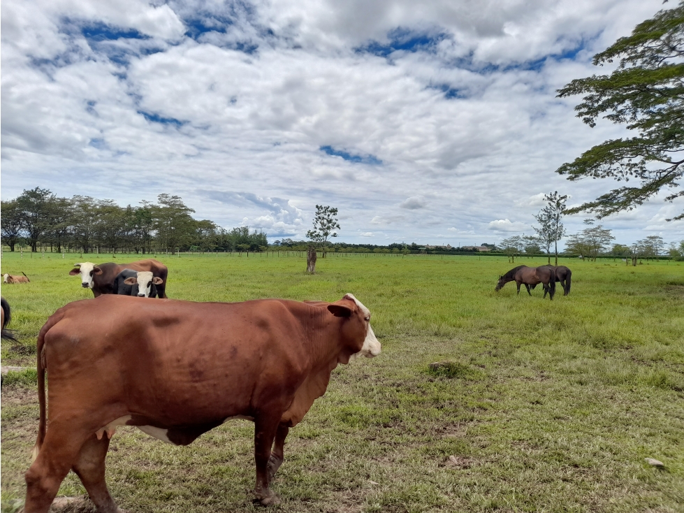 FINCA SAN JOSÉ