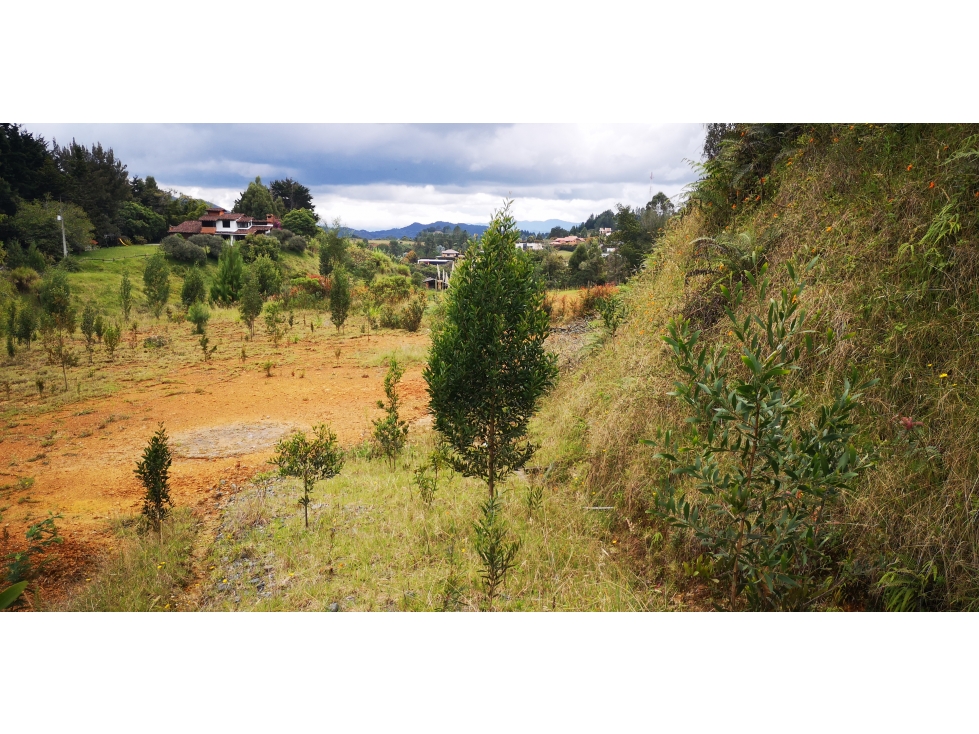 VENDO LOTE EN EL ALTO DE LAS PALMAS DETRAS DEL PEAJE