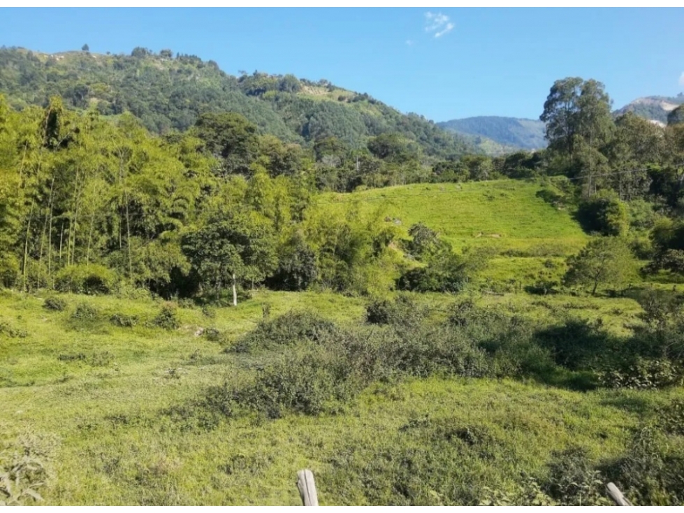 6661534MA Venta de Lote en Amagà, Antioquia