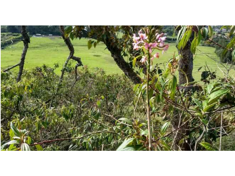 Venta de Lote en Condominio, El tambo, La Ceja Antioquia