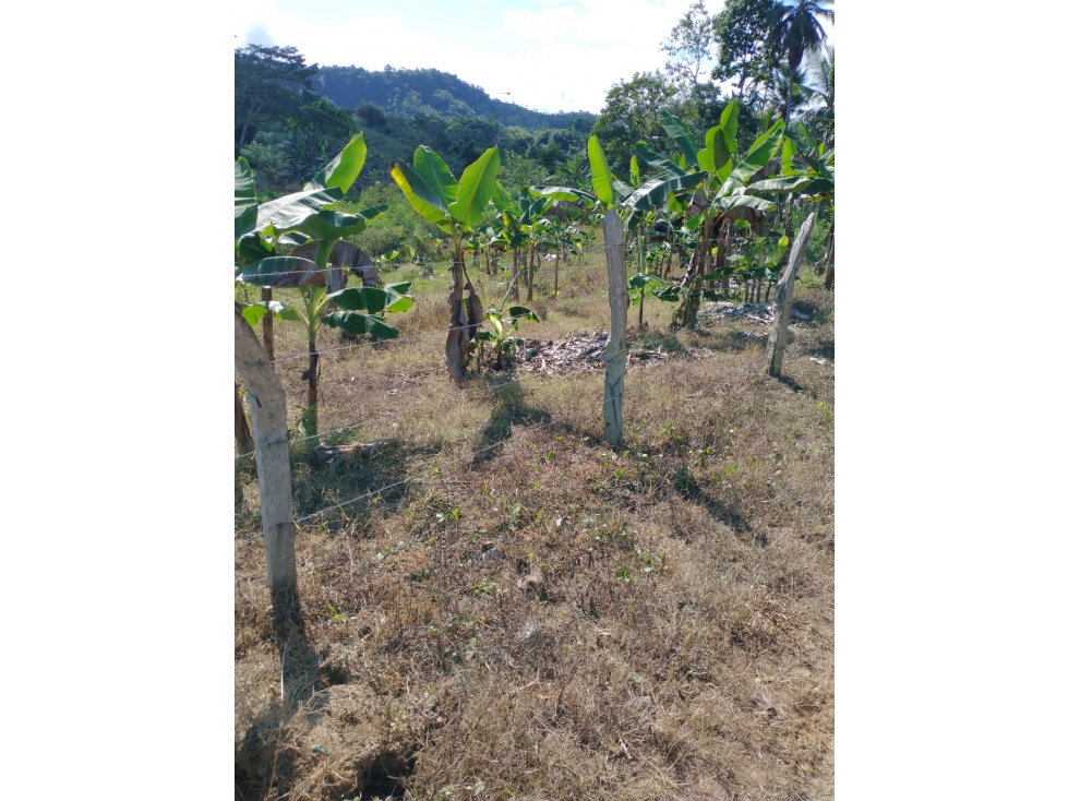 EN VENTA CASA FINCA VIA A PLANETA RICA MONTERIA CORDOBA COLOMBIA