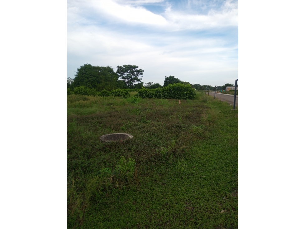 VENDO  TERRENO EN LA VIA  A SAN CARLOS CORDOBA COLOMBIA