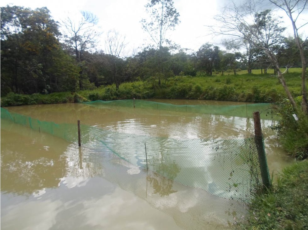 FINCA PISCICOLA DE 5 HECTAREAS CON TODOS LOS PERMISOS EN CUBARRAL