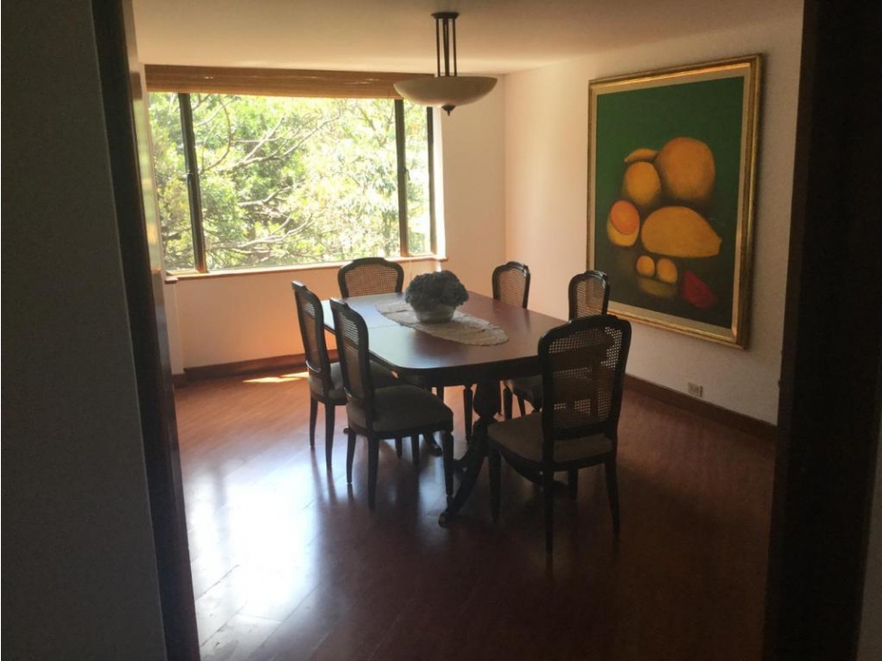 ARRIENDO AMOBLADO UNICAMENTE APARTAMENTO CABRERA