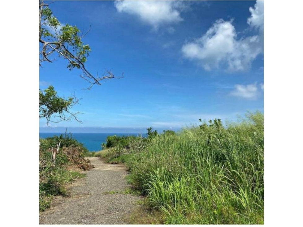 LOTE CON VISTA AL MAR SABANILLA