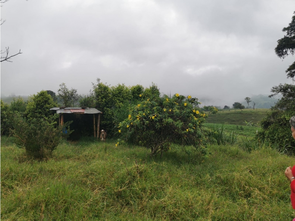 TERRENO EN EL AGRADO  PARA  TURISMO Ó CASA DE CAMPO