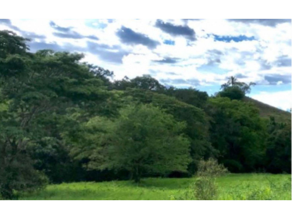 Se vende Finca en Viotá Cundinamarca