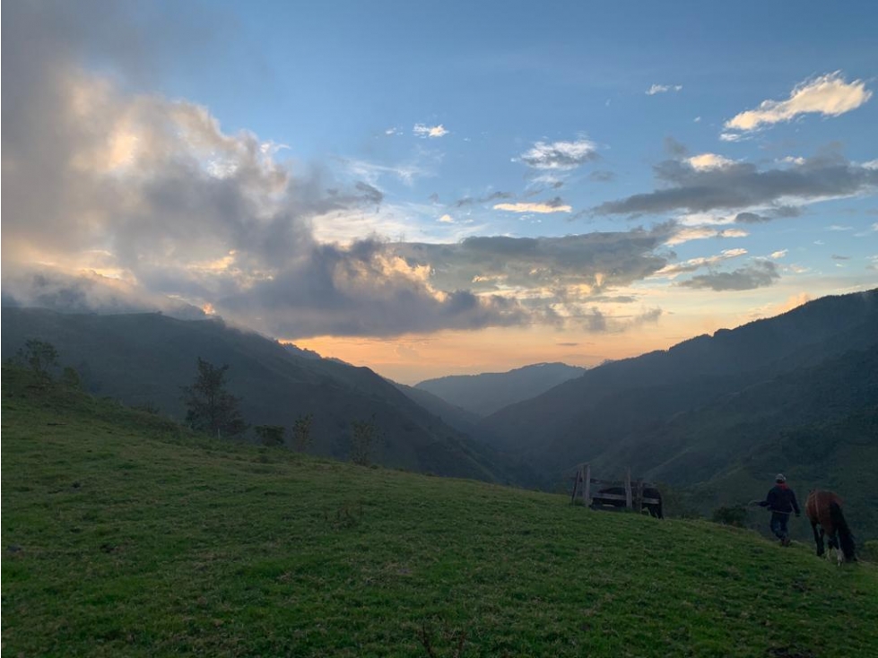 Se vende Finca Ganadera Pijao Quindío