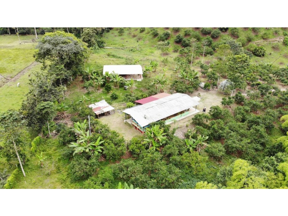 Se vende Finca en V. La Rochela Calarcá Quindío