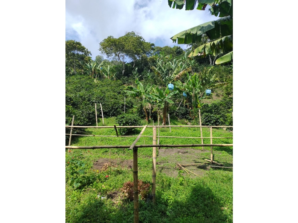 Se vende Finca Génova Quindío