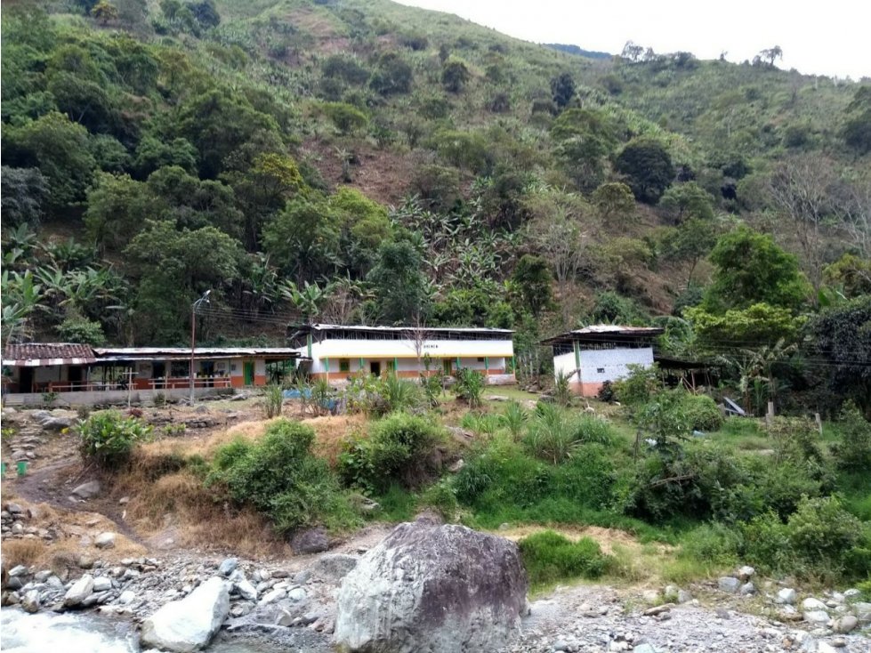 Se vende Finca en Pijao Vda Rio Azul