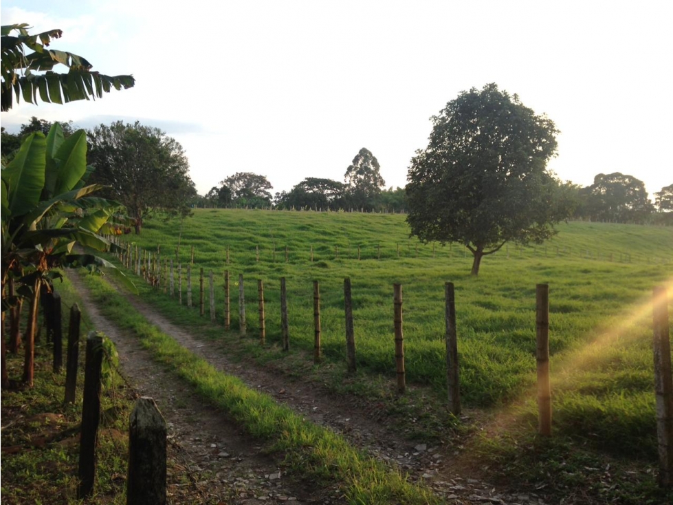 Se vende Finca Chalet Armenia - Pueblo Tapao Quindío