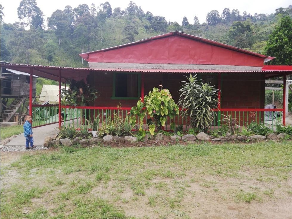 Se vende Finca Quebradanegra Calarcá Quindío