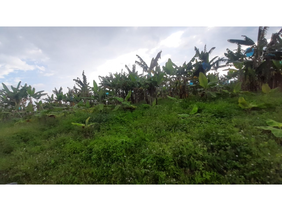 Se venden Lotes Campestres Armenia Quindío