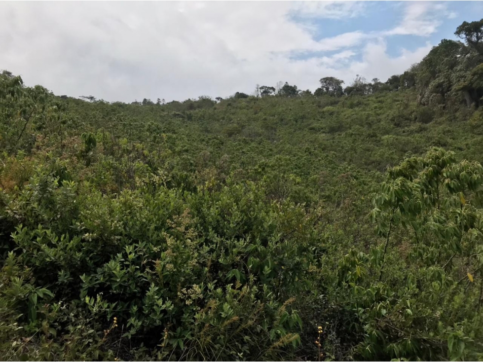 VENTA FINCA LA PAZ SANTANDER