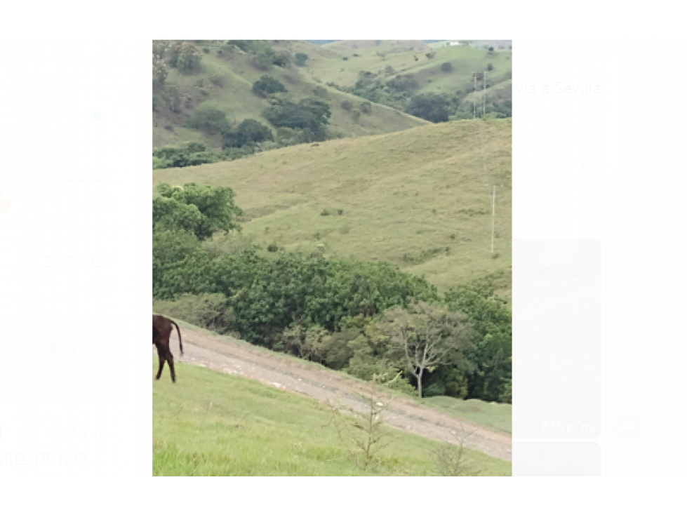 Venta Finca en La Uribe, Norte del Valle