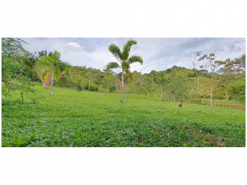 CASA CAMPESTRE FREDONIA ANTIOQUIA