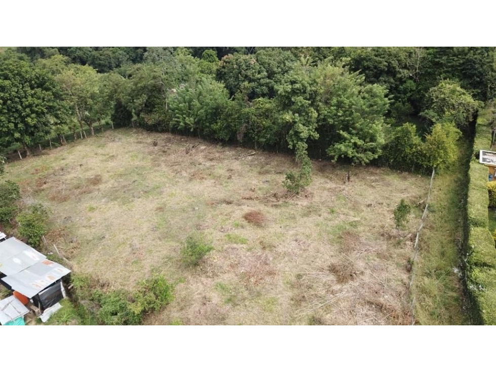 L-262 (VENTA LOTE INDEPENDIENTE, SECTOR SAN JERONIMO)