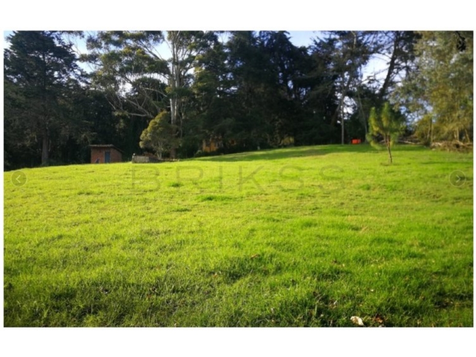 L-244 LOTE INDEPENDIENTE Sector (El Retiro - Vereda el Perico)