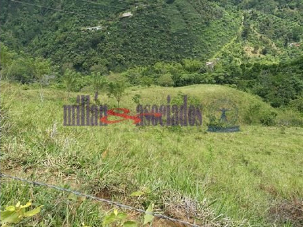 Finca en venta vda guaymaral via Risaralda Cod: 6406867