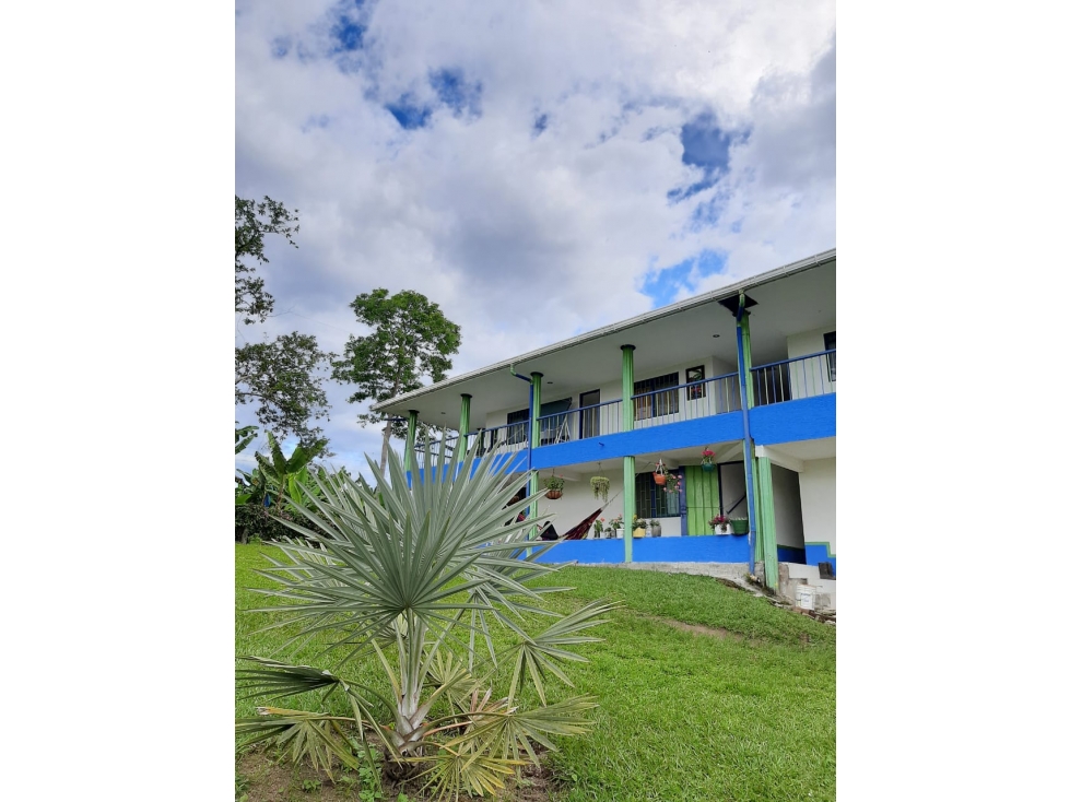 Venta Finca Productiva El Caimo Armenia