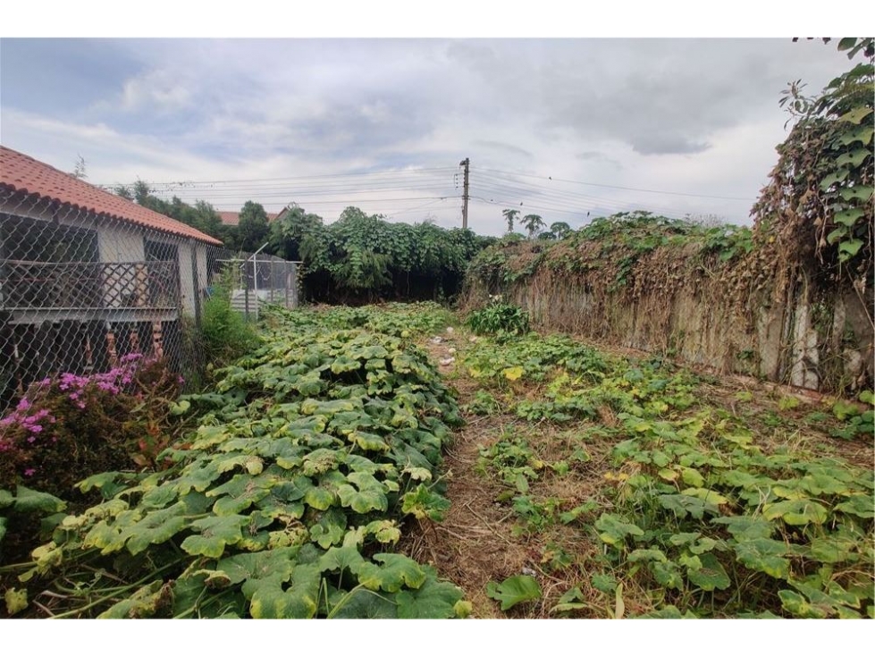 Lote en Chia Guaymaral