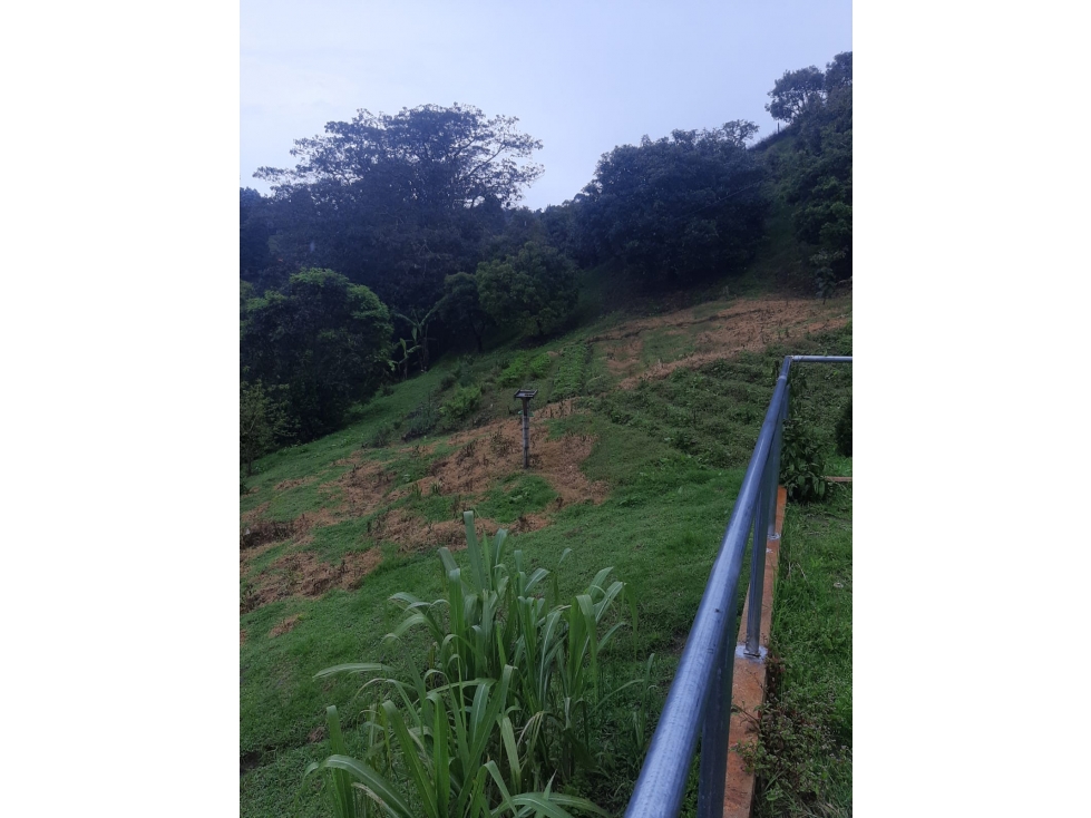 Venta de 2 Lotes - Guarne