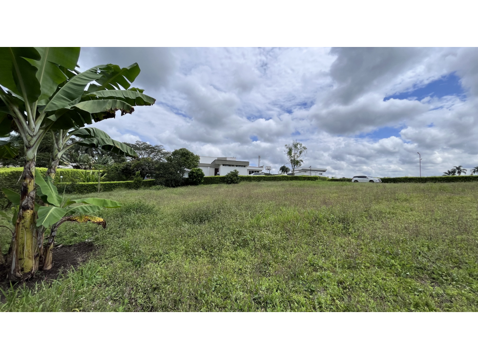 VENTA DE LOTE CAMPESTRE EN ARMENIA, QUINDIO, COLOMBIA