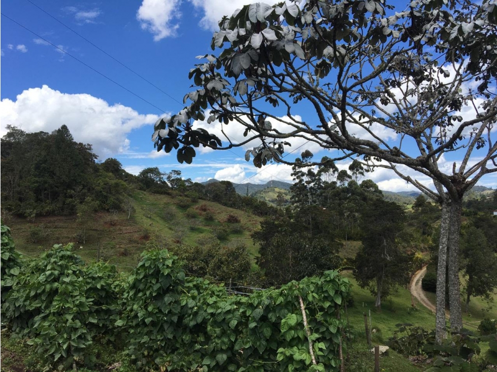 Lote Municipio El Retiro, Antioquia