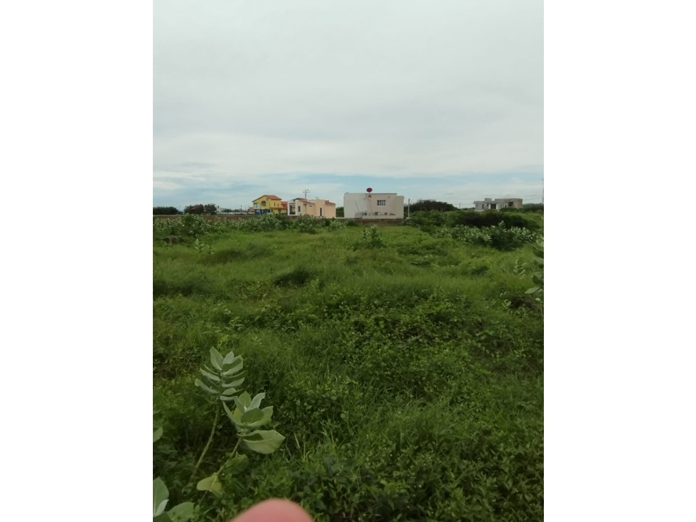 VENTA LOTE EN PUNTA ROCA SABANILLA PUERTO COLOMBIA