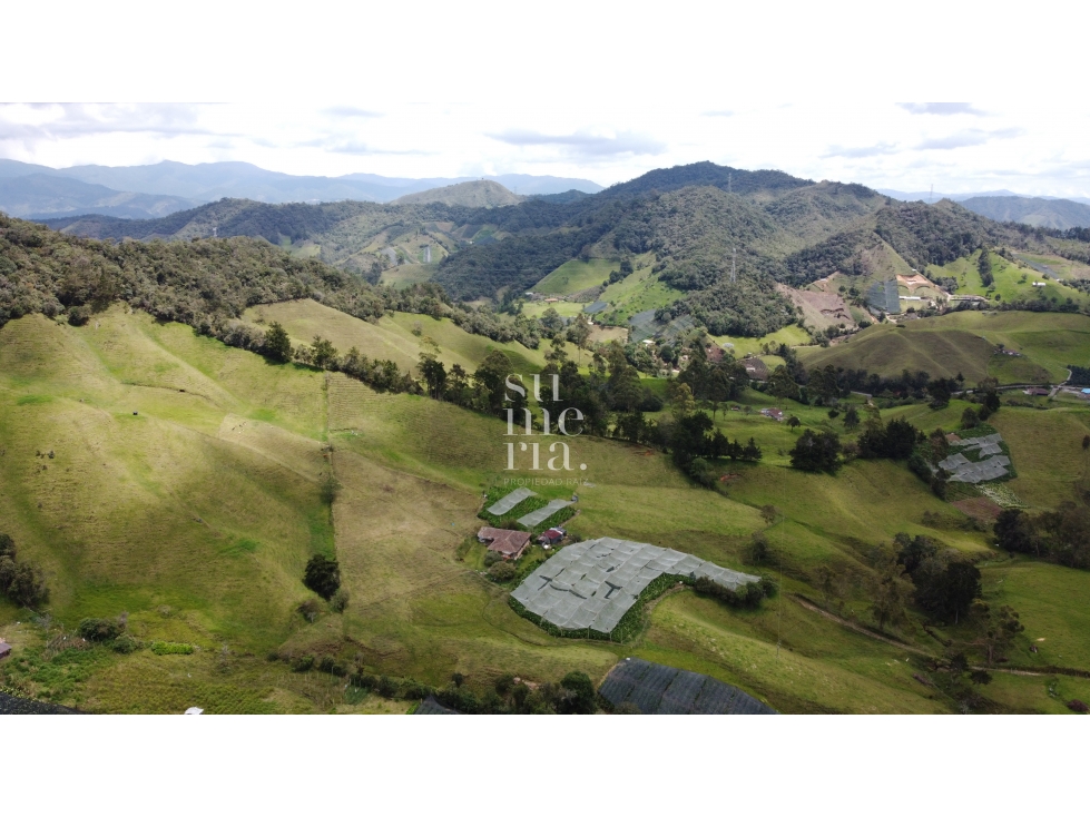 Finca independiente en La Ceja