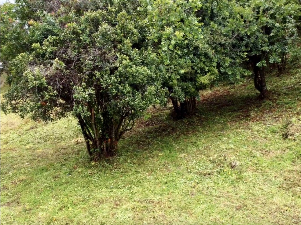 Lote en  Venta en La Calera, Cundinamarca