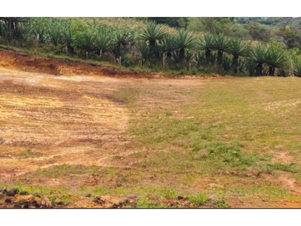 Venta de Lote en Vereda Chaparral de san Vicente de Ferrer, Antioquia