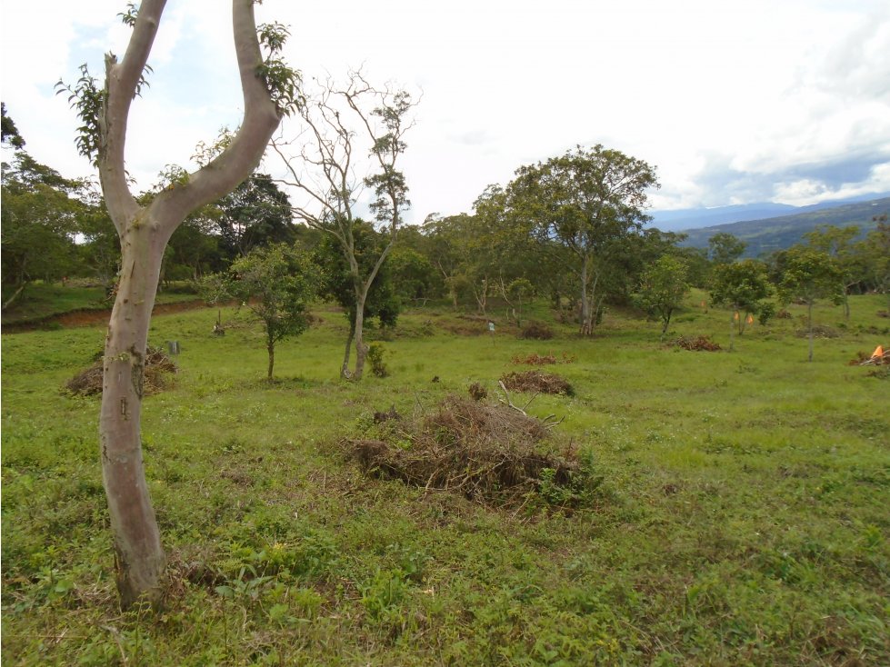 Se venden lotes Alameda Campestre- Barbosa, Santander